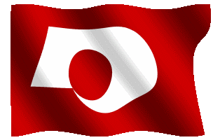 amakusaflag
